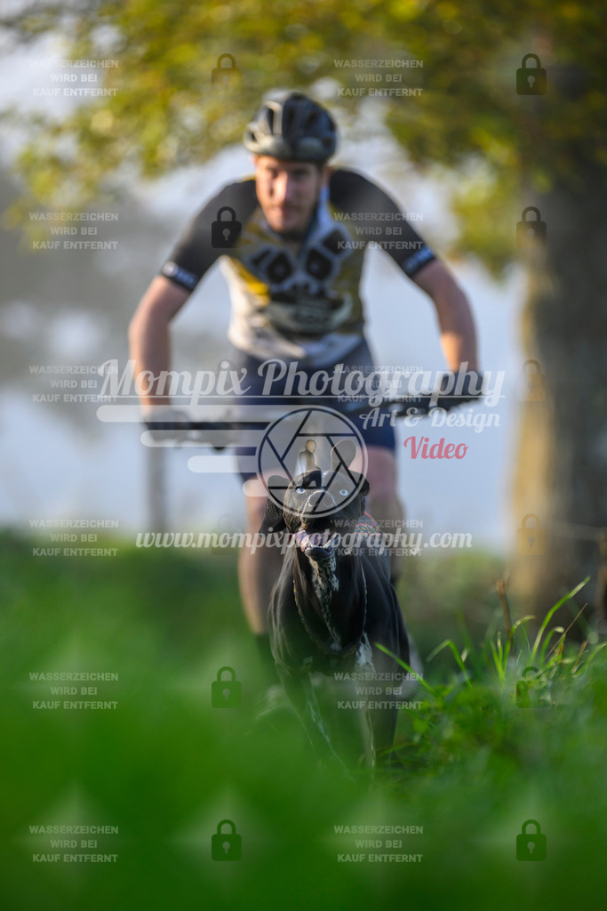 MompixPhotography_20TSB_E3_Bike-10 | PayLife