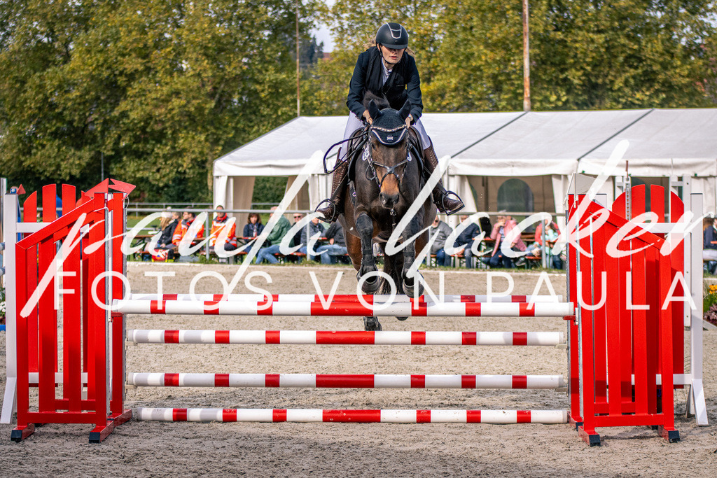 IMG_5345 | Erleben Sie dynamische Sport- und emotionale Tierfotografie in Süddeutschland mit Fotos von Paula. Spezialisiert auf Pferde- und Hundefotografie sowie Sportevents. Kontaktieren Sie mich für einzigartige und ausdrucksstarke Bilder Ihrer besonderen Momente.