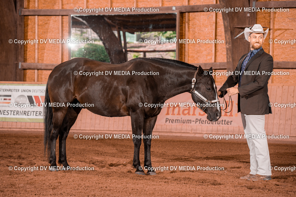 NE200073 | dv-media-shop - Realisiert mit Pictrs.com