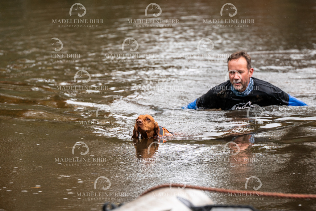 madeleinebirr-fotografie2025.campcanis.11-12Uhr-151 | hundefotografie-birr