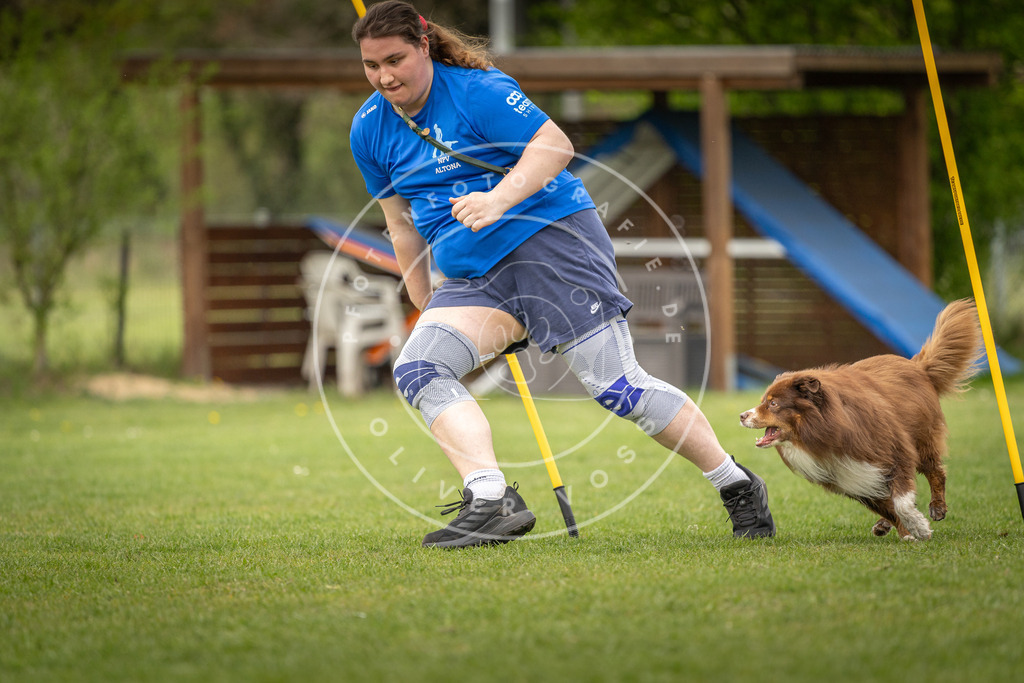 Pfotenfotografie_DV3A1931 | Hundefotografie, Tierfotograf, Pfotenfotografie, Fotoshooting Hund, Hunde Portrait, Hundesport, Hundeportraits, Heideshooting, Hunde, Sportfotograf, Hundefotograf, Turnierhundsport, THS,  - Realisiert mit Pictrs.com