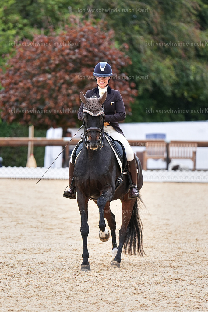 11-191-Dressur S___-Marixx-1801 | working equitationturnier fotograf videograf stoibphotography marixx film working equitation deutschland reitsport turnierfotografie eventfotografie equestrian events