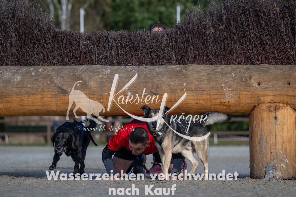 1055-_ZZ93328 | kk-dogfotos