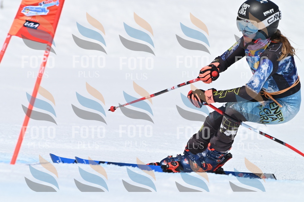 BGV_0111 | holidayphoto