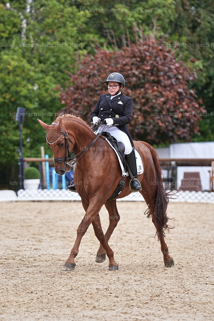 07-023-DRESSUR  S___  -Marixx-5148 | working equitationturnier fotograf videograf stoibphotography marixx film working equitation deutschland reitsport turnierfotografie eventfotografie equestrian events