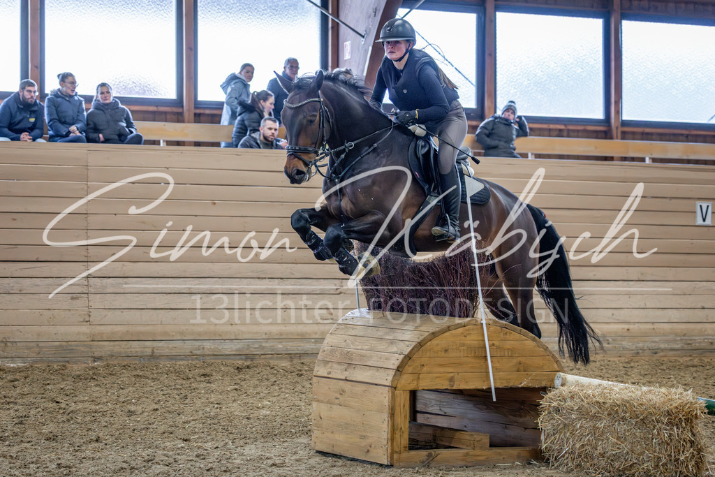 20260222-_3LI2074 | Tierfotografie Pferde, Hunde, Katzen, Haustiere.
Turnierfotografie Reitturniere, Reiten, Springreiten, Dressur in Hanau, dem Main-Kinzig-Kreis und dem Rhein-Main- Gebiet um Frankfurt