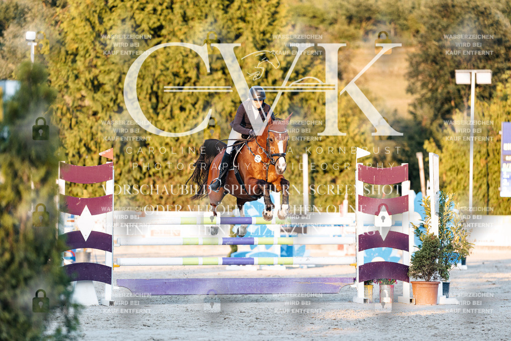 CK901205 | Turnierfotografie Pferdefotografie Trier Rheinland-Pfalz Pferdesport Reitsport Tierfotografie Sportfotografie Pferdevideo Pferdevideografie Equestrianvideography equestrianphotography  - Realisiert mit Pictrs.com