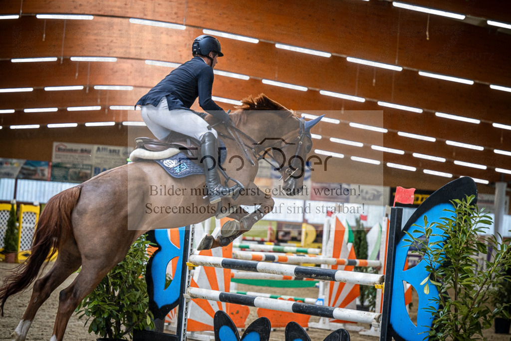 DOS_1659 | Entdecke hochwertige Reitturnierfotos von Foto Oger. Professionell, emotional und authentisch – jetzt Lieblingsmomente im Shop bestellen.Deutschlandweite Turnierfotografie. - Realisiert mit Pictrs.com