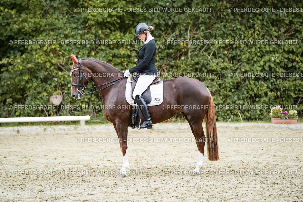 DSC06693 | Pferdegrafie