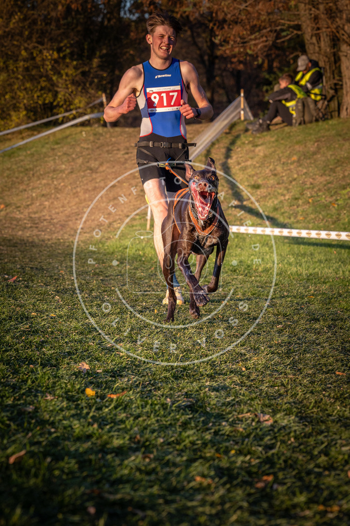 CaniXpix_0L8A1521 | Hundefotografie, Tierfotograf, Pfotenfotografie, Fotoshooting Hund, Hunde Portrait, Hundesport, Hundeportraits, Heideshooting, Hunde, Sportfotograf, Hundefotograf, Turnierhundsport, THS,  - Realisiert mit Pictrs.com