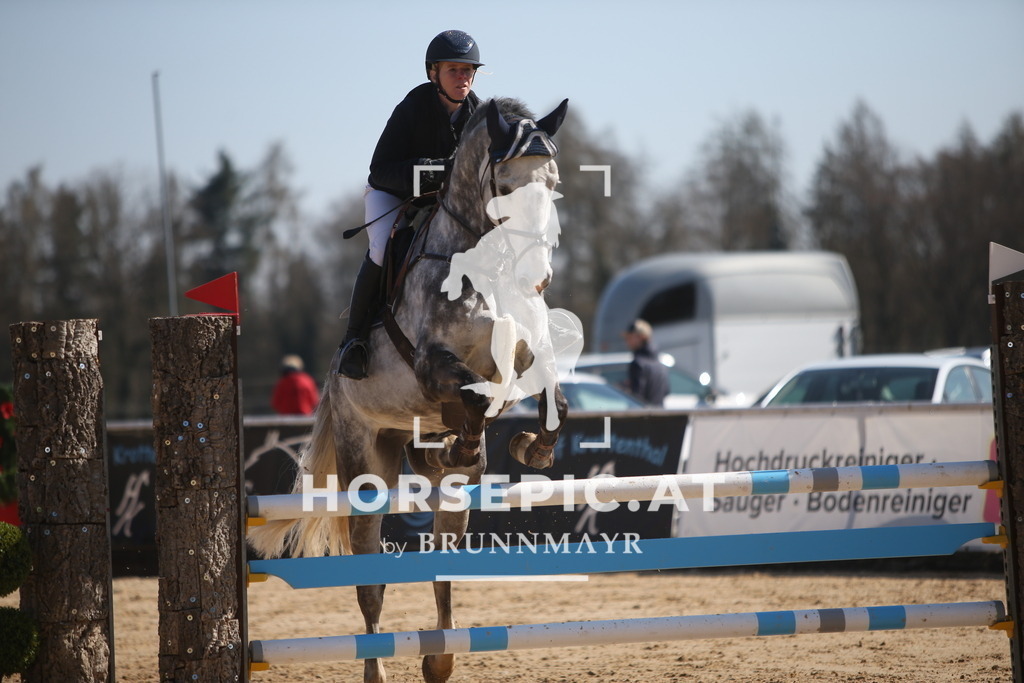 AS8V6093 | Willkommen bei Brunnmayr - Design & Fotografie – Ihrem Spezialisten für Reitturniere und Pferdeveranstaltungen in Oberösterreich, Salzburg und Bayern! Seit über 17 Jahren sind wir leidenschaftlich dabei.