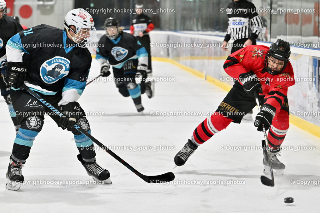 Lendhafen Seelöwen vs. Spartans Althofen | #11 Göhringer Marius Lendhafen Seelöwen, #14 Wenzl Alexander Spartans Althofen, Lendhafen Seelöwen vs. Spartans Althofen, Lendhafen Seelöwen vs. Spartans Althofen am 14.02.2025 in Ferlach (HTC Eishalle Ferlach), Austria, (Photo by Bernd Stefan)