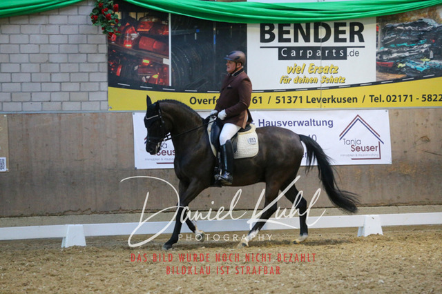 IMG_2844 | Turnierfotos kaufen im Webshop von Daniel Kuhl Photography – entdecke professionelle Reitsportfotos aus Turnieren & Events. Hochwertige Turnierbilder online bestellen & sichern. Jetzt Fotos von Reitsportturnieren kaufen!