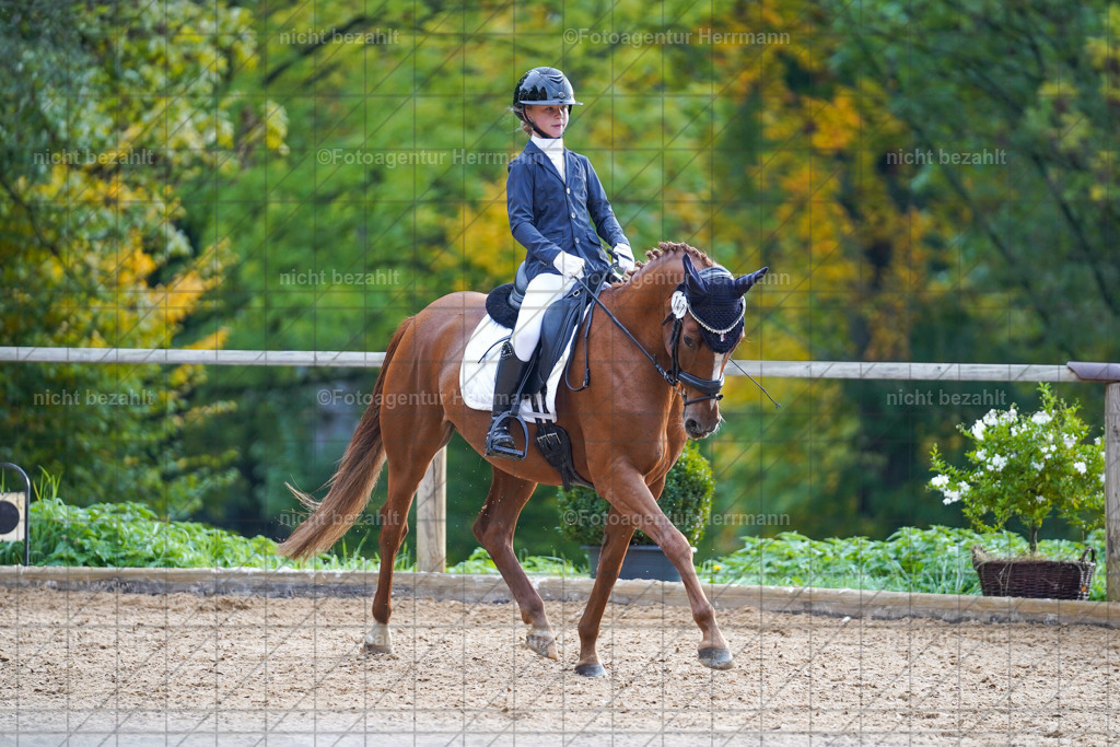 20221008-FAH00839 | Diessen am Ammersee, 2022, Dressur- und Springturnier, Reitsportbilder, Turnierfotografen Bayern, Pferdefotografen, Fotoagentur Herrmann, Turnierbilder