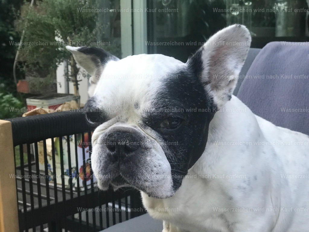 IMG_1343 | heikomoeller - Realisiert mit Pictrs.com