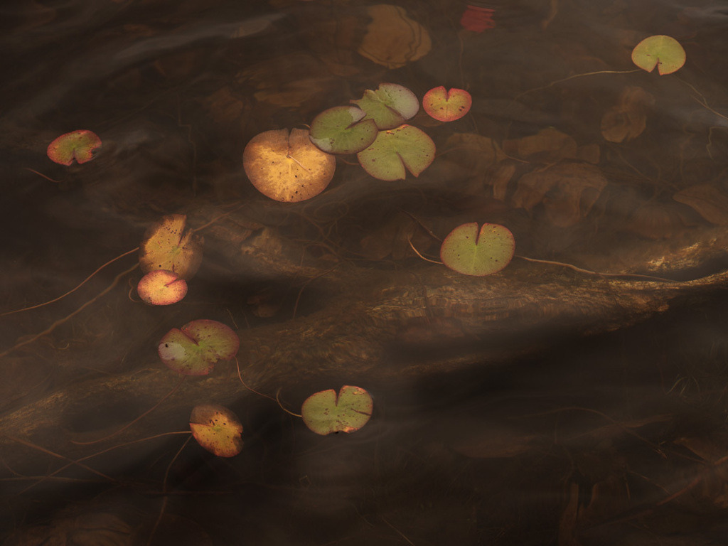 SilvanoPedrett_preview_Wasser-30 | silvanopedrett - Realisiert mit Pictrs.com