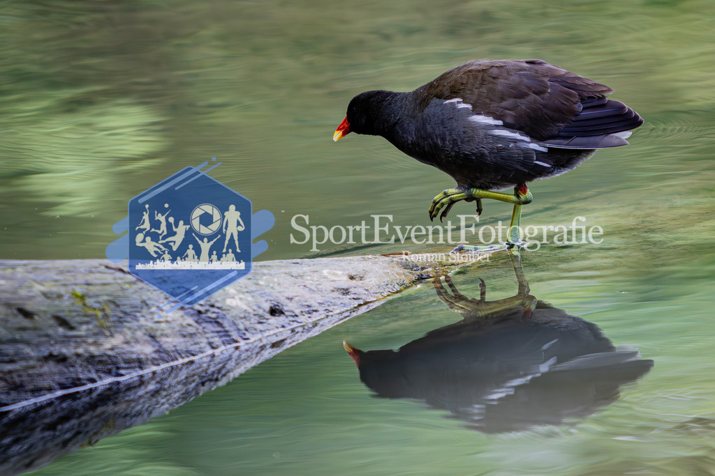 IMG_5989 | SportEventFotografie - Roman Stoiber