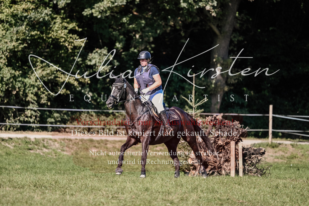 DSC_3341 | Pferde- und Turnierfotografie in Westsachsen. Pferdeportraits, Auftragszeichnungen und intuitive Kunst.