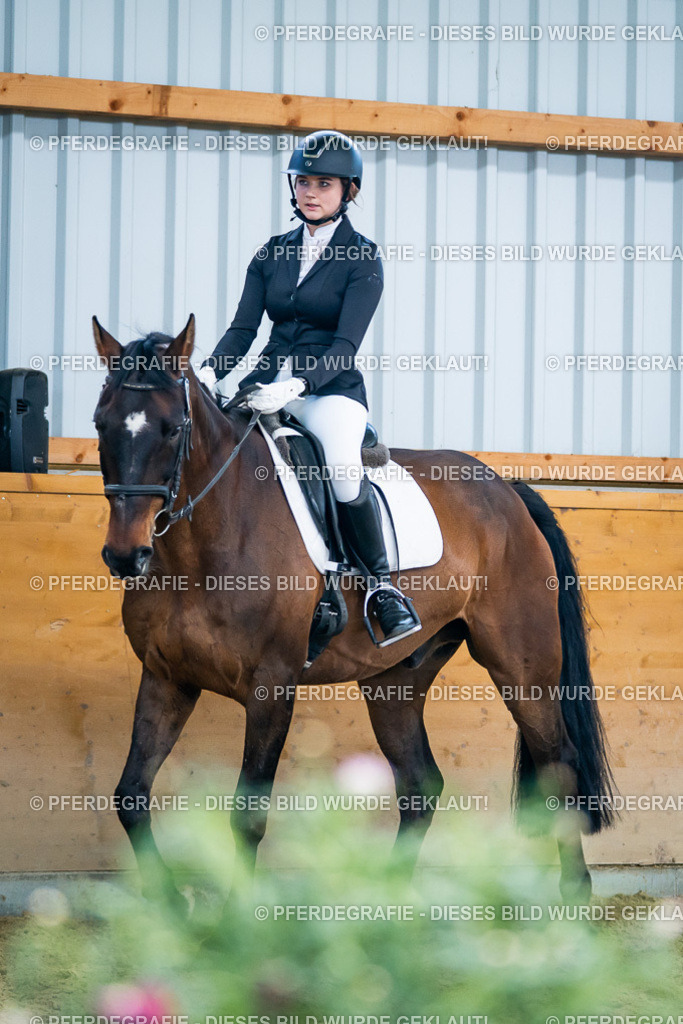 DSC05670 | Pferdegrafie