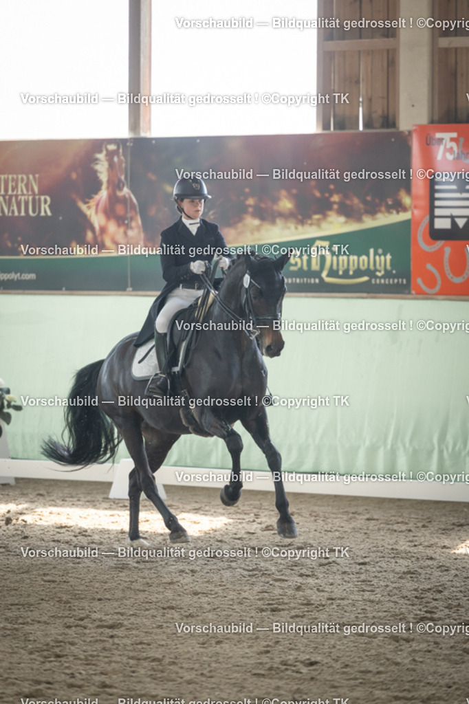 _D5A1058 | Emotionale Pferde- & People-Fotografie rund um Heidelberg, Leimen & Umgebung. Natürliche Fotos von Pferd, Mensch & Familie. Jetzt Termin sichern!