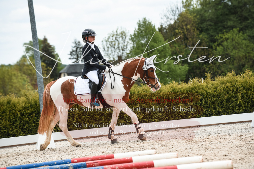 20230518_JK-Röhrsdorf-10-680 | Pferde- und Turnierfotografie in Westsachsen. Pferdeportraits, Auftragszeichnungen und intuitive Kunst.