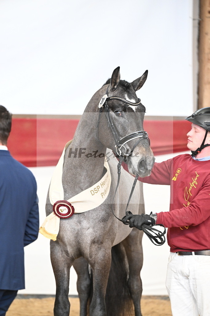 Kat.-Nr. 31 v. Rob Roy vd Bisschop_Schulze Averdiek_3265308 | hf-fotografie - Realizzato con Pictrs.com