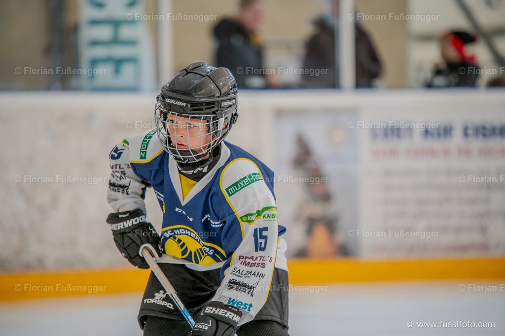 DSC_1006 | "Fussifoto.com – Ihr Ansprechpartner für hochwertige Fotografie! Entdecken Sie kreative Bilder und professionelle Dienstleistungen. Kontaktieren Sie uns für Ihre Projekte!"