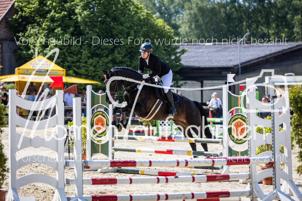 Donop24-ESpr-030 | MomenTaufnahmen Pferdesportfotos