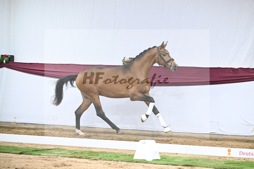 Kat-Nr. 45 Velvedere x Goldberg_Franz-Josef Kleinekoerdt_47251604 | hf-fotografie - Realisiert mit Pictrs.com