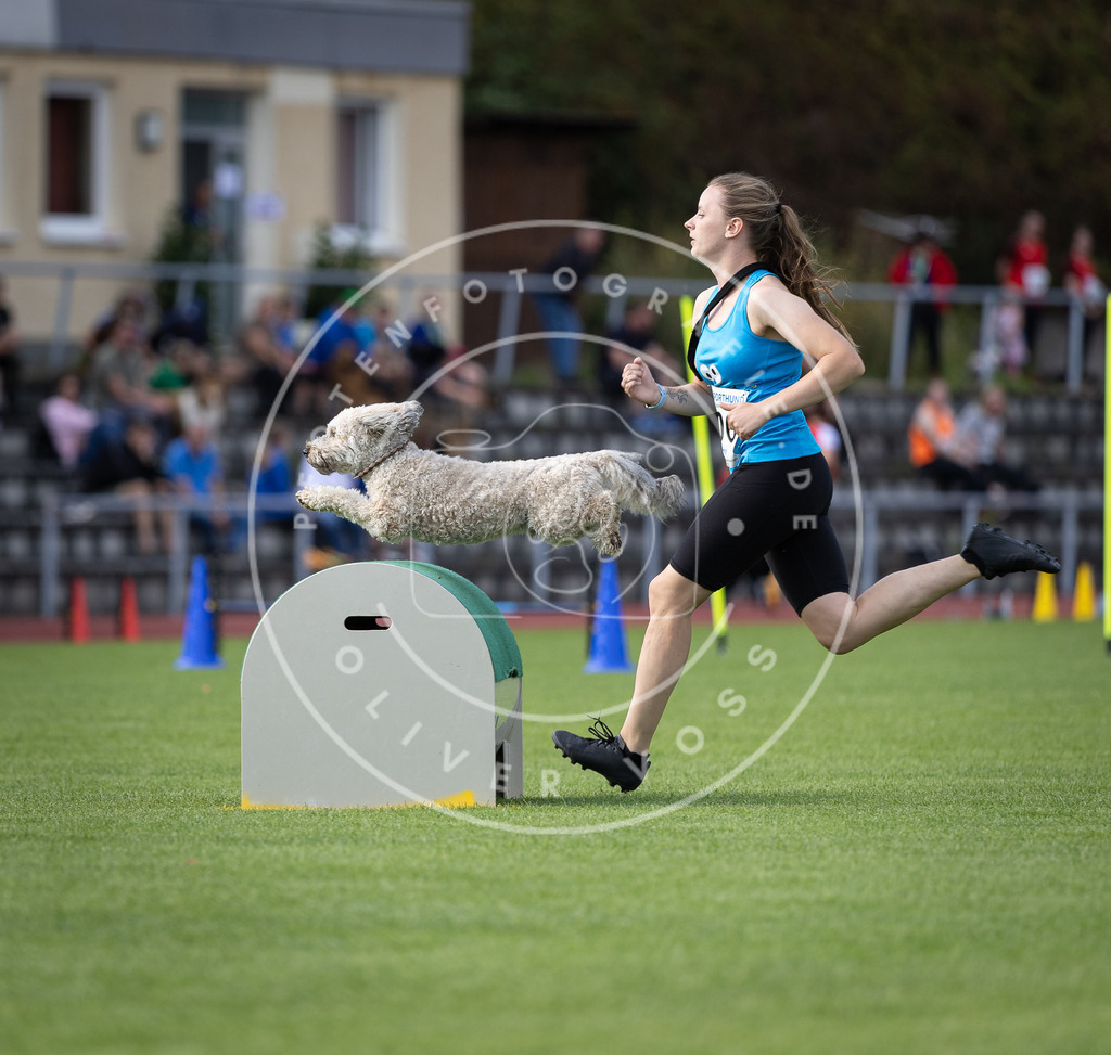 Pfotenfotografie_DV3A1567 | Hundefotografie, Tierfotograf, Pfotenfotografie, Fotoshooting Hund, Hunde Portrait, Hundesport, Hundeportraits, Heideshooting, Hunde, Sportfotograf, Hundefotograf, Turnierhundsport, THS,  - Realisiert mit Pictrs.com