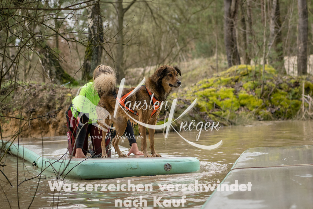 1015_ZZ92822-Bearbeitet-2 | kk-dogfotos