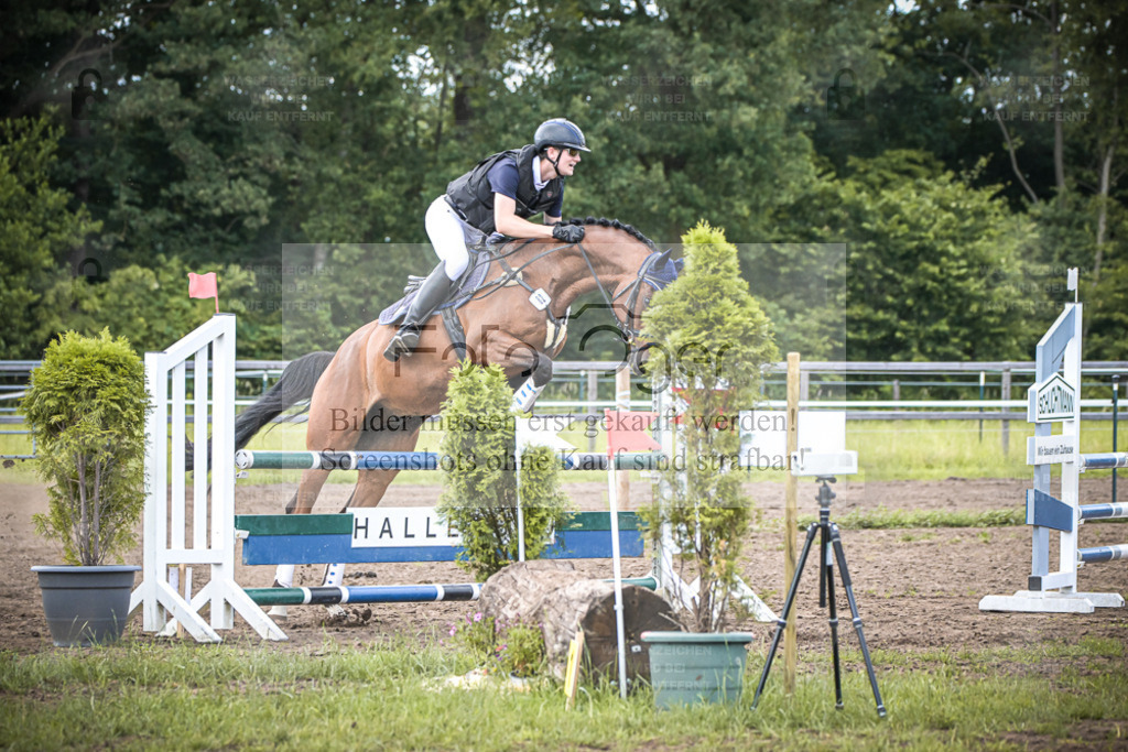 DOS_8155 | Entdecke hochwertige Reitturnierfotos von Foto Oger. Professionell, emotional und authentisch – jetzt Lieblingsmomente im Shop bestellen. - Realisiert mit Pictrs.com
