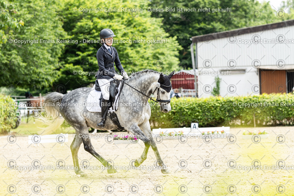 CL5A0500 | Emilia Reinking Fotografie - Realisiert mit Pictrs.com