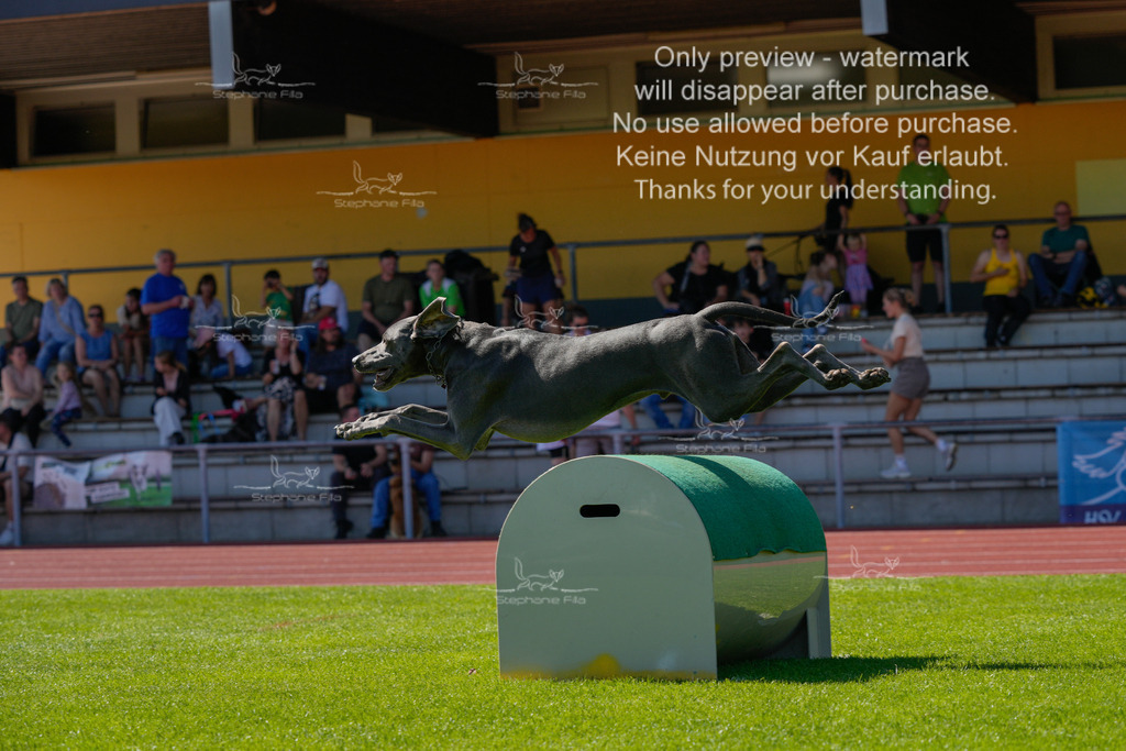 Sonntag_VK Hindernis (455 von 671) | stephaniefillaphotographie - Realisiert mit Pictrs.com
