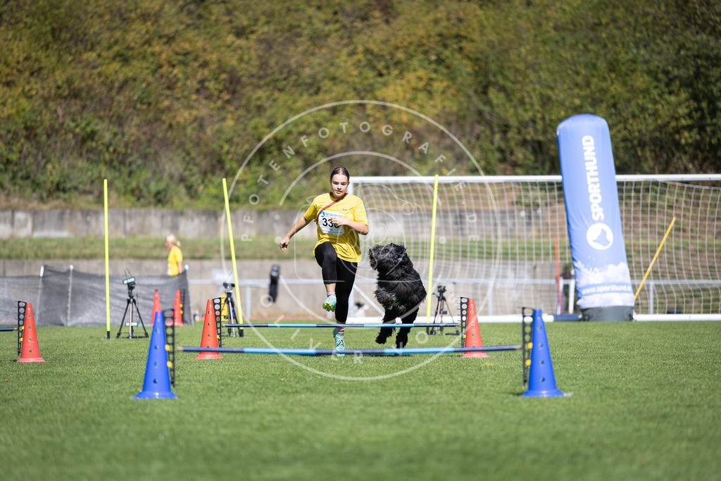 Pfotenfotografie_DV3A5551 | Hundefotografie, Tierfotograf, Pfotenfotografie, Fotoshooting Hund, Hunde Portrait, Hundesport, Hundeportraits, Heideshooting, Hunde, Sportfotograf, Hundefotograf, Turnierhundsport, THS,  - Realisiert mit Pictrs.com