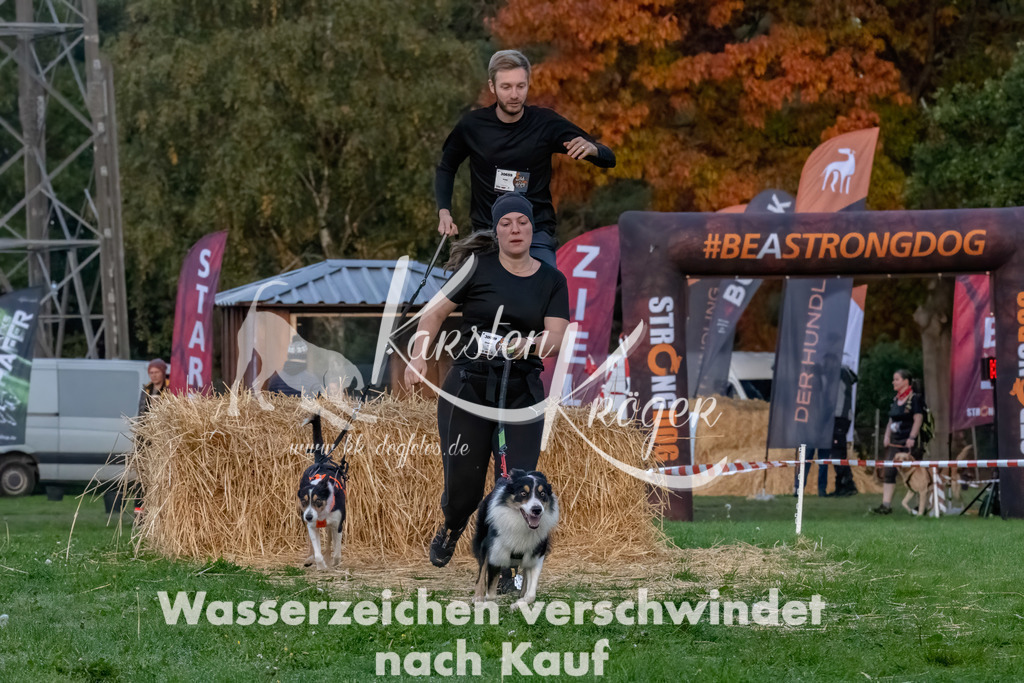 0809_ZZ94514-Bearbeitet | kk-dogfotos