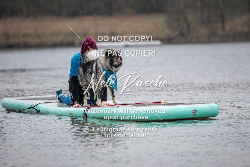 nelerasche_Hulsbeek_Sa1515-1600_189 | nelerasche