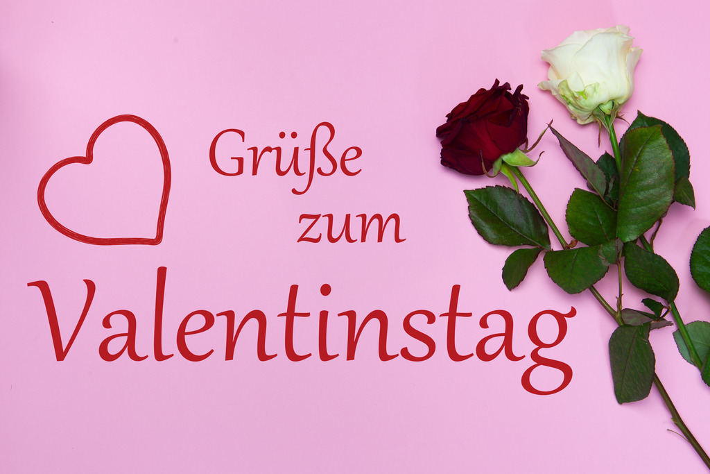 Valentinsgrüße: Rosen und Text (Herzliche) GRÜSSE ZUM VALENTINSTAG vor Hintergrund in Pastellrosa | Valentinsgrüße: Rosen und Text (Herzliche) GRÜSSE ZUM VALENTINSTAG vor Hintergrund in Pastellrosa - Realisiert mit Pictrs.com