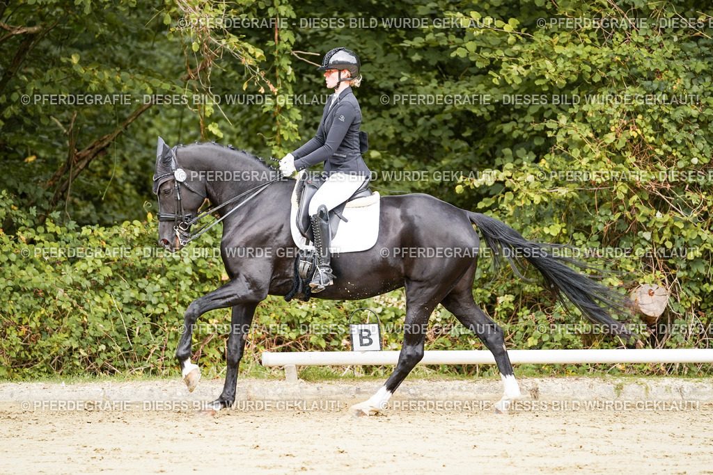 DSC03492 | Pferdegrafie