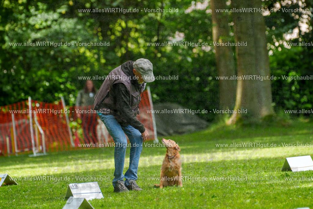 @allesWIRTHgut_Tierfotografie - www.allesWIRTHgut.de - 7R504242 | Professionelle Tierfotografie in Mönchengladbach von Daniel Wirth (allesWIRTHgut). Liebevolle & natürliche Bilder von Hunden & Katzen für unvergessliche Erinnerungen.