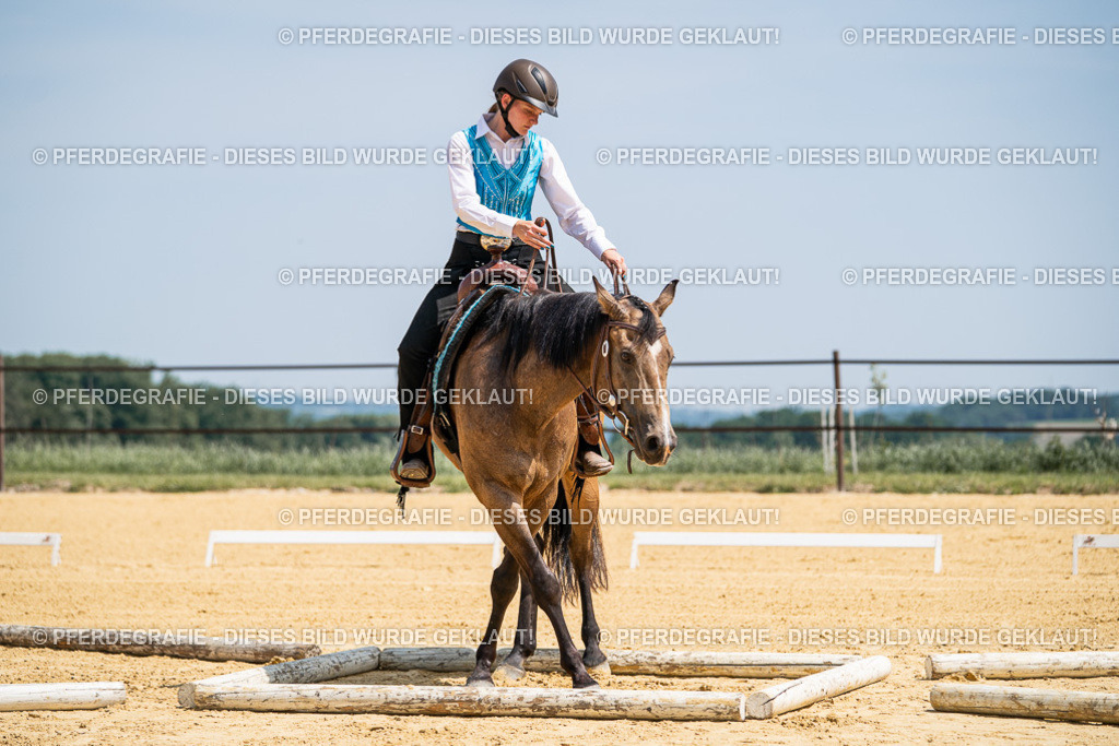 DSC01039 | Pferdegrafie