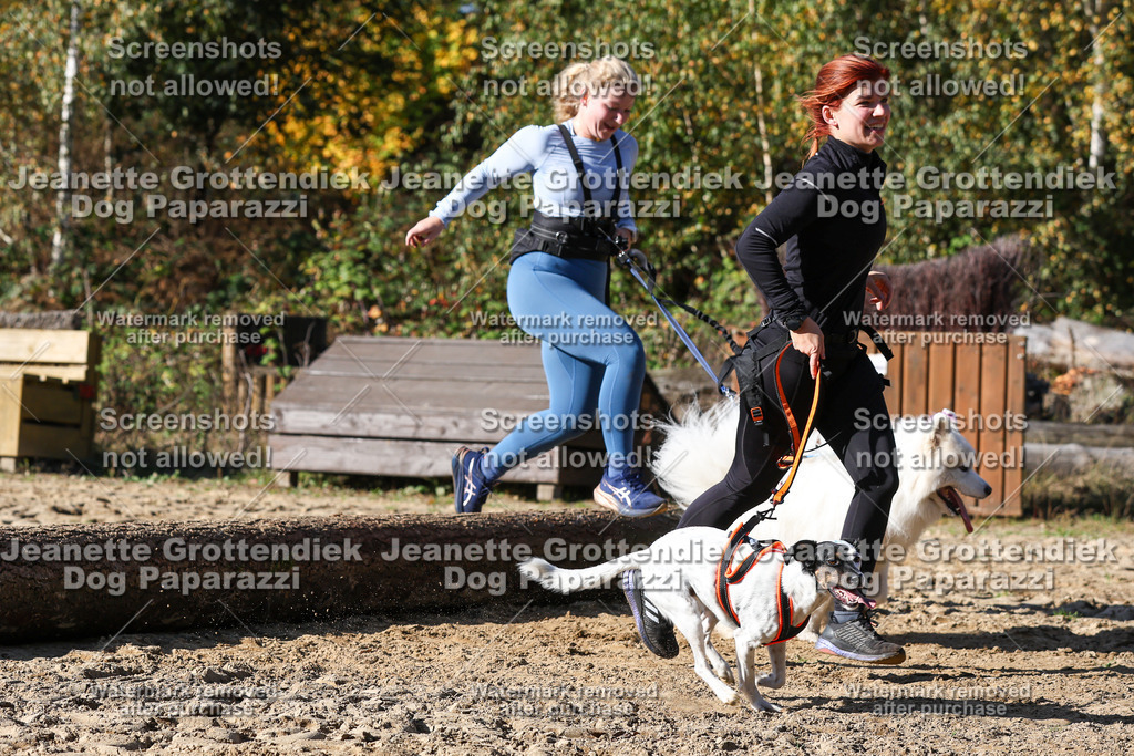 Dog Paparazzi - Strongdog 10-25-2963 | Dog Paparazzi Jeanette Grottendiek Fotografie & Videografie - Realisiert mit Pictrs.com