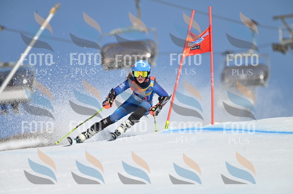 BGV_8103 | holidayphoto