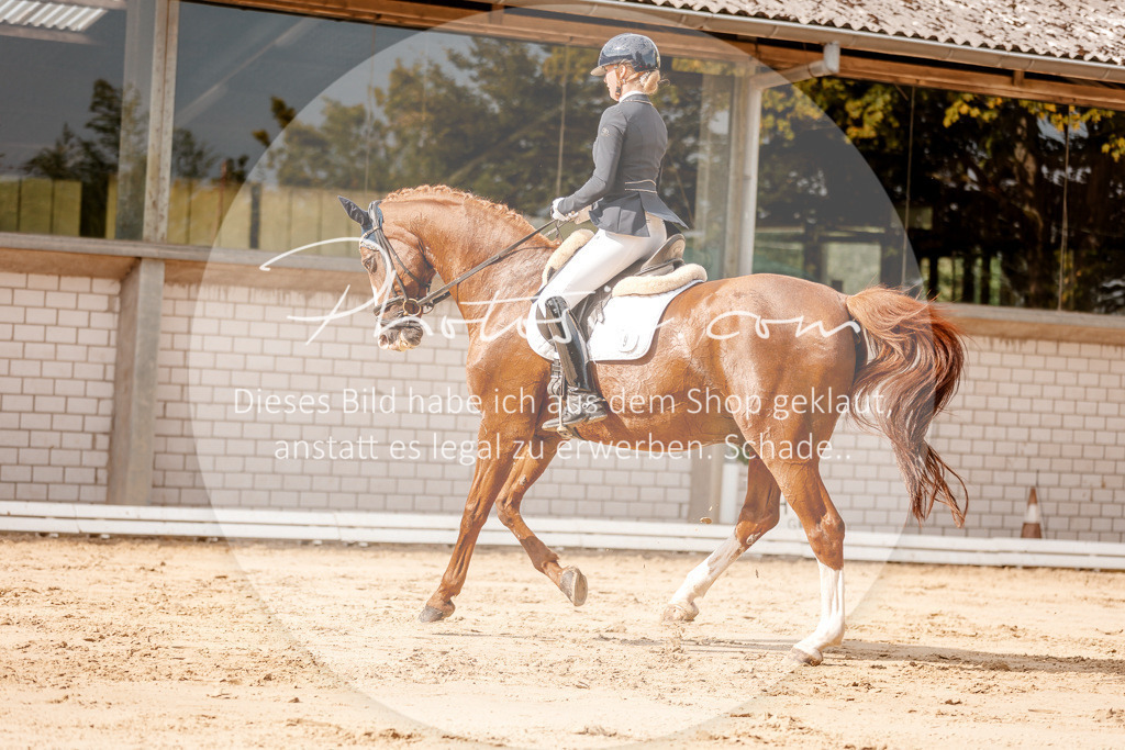 3I6A3522 | Stimmungsvolle Portraits und Reitsportfotografie im Ruhrgebiet und im Münsterland.

Pferdefotografie, Hundefotografie, Tierfotografie, Reportagen, Portraits von Tier und Mensch, Turnierfotografie in Bochum, Recklinghausen, Marl, Haltern am See, Dülmen.. - Realisiert mit Pictrs.com