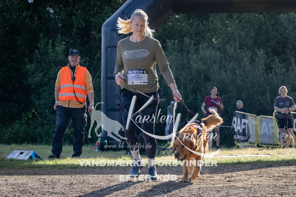 0909_ZZ94247 | kk-dogfotos