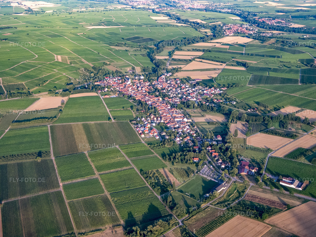 Luftbild: Dorfübersicht aus Nordwesten in Göcklingen im Bundesland Rheinland-Pfalz in Deutschland. Foto: P7130227.jpg vom 13.07.2017 durch Werner Riehm/FLY-FOTO.de