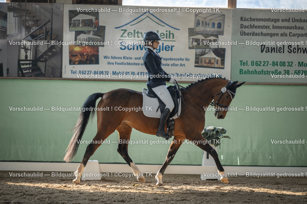 _D5A8428 | Emotionale Pferde- & People-Fotografie rund um Heidelberg, Leimen & Umgebung. Natürliche Fotos von Pferd, Mensch & Familie. Jetzt Termin sichern!