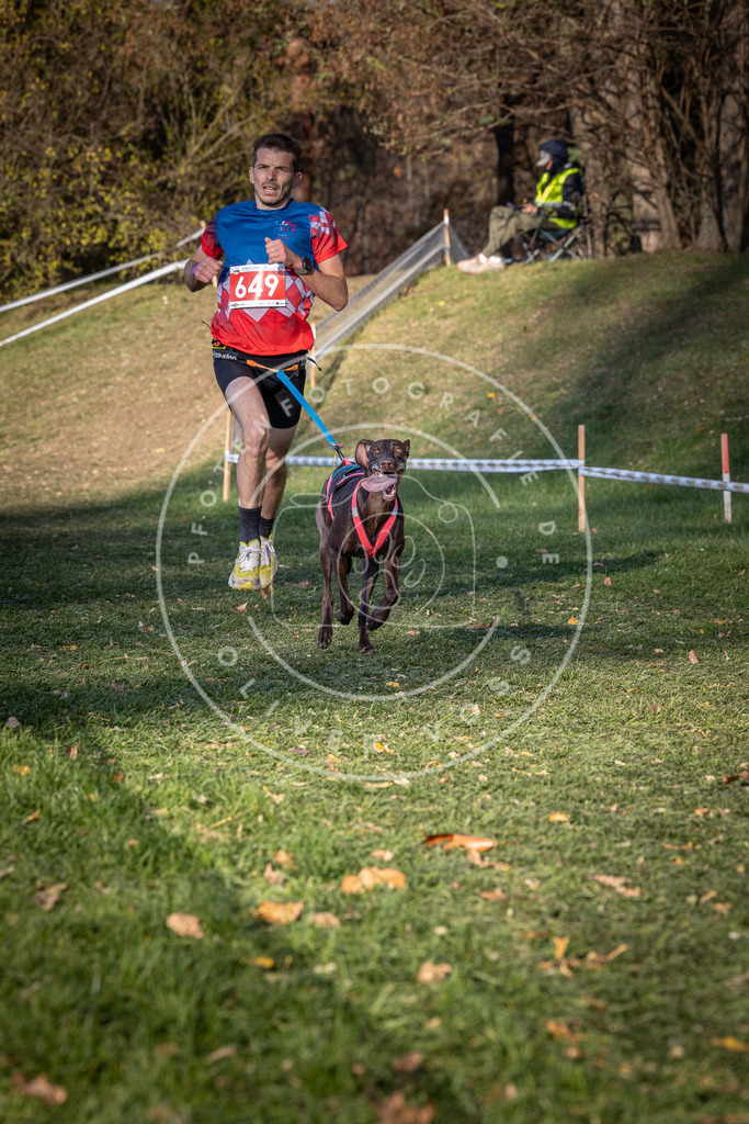 CaniXpix_0L8A9086 | Hundefotografie, Tierfotograf, Pfotenfotografie, Fotoshooting Hund, Hunde Portrait, Hundesport, Hundeportraits, Heideshooting, Hunde, Sportfotograf, Hundefotograf, Turnierhundsport, THS,  - Realisiert mit Pictrs.com