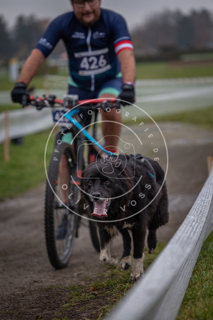 CaniXpix_0L8A1769 | Hundefotografie, Tierfotograf, Pfotenfotografie, Fotoshooting Hund, Hunde Portrait, Hundesport, Hundeportraits, Heideshooting, Hunde, Sportfotograf, Hundefotograf, Turnierhundsport, THS,  - Realisiert mit Pictrs.com