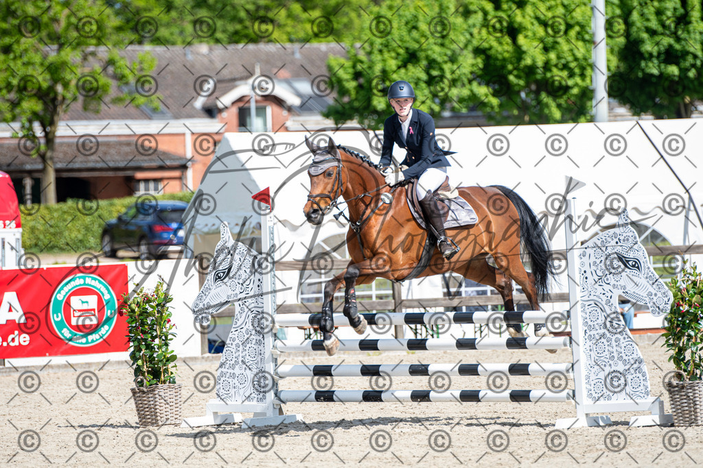 KPT_4914 | andre_photographic